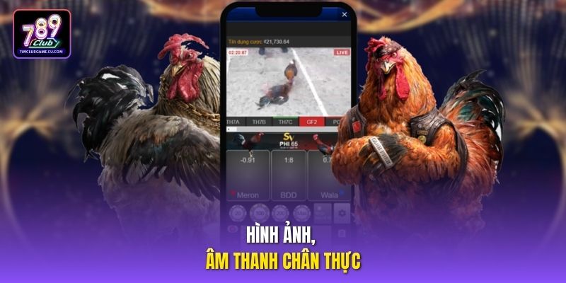 Hình ảnh, âm thanh chân thực.