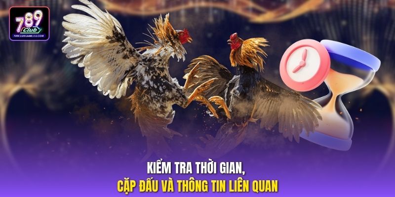 Kiểm tra thời gian, cặp đấu và thông tin liên quan.