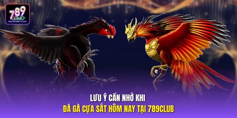 Lưu ý cần nhớ khi đá gà cựa sắt hôm nay tại 789club