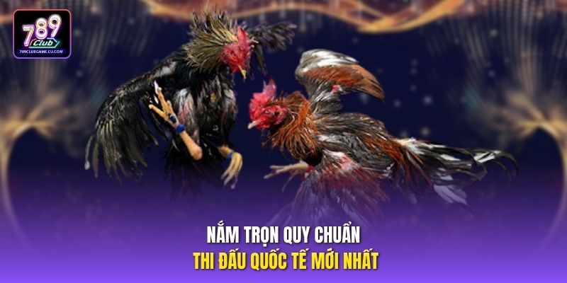 Nắm trọn quy chuẩn thi đấu quốc tế mới nhất