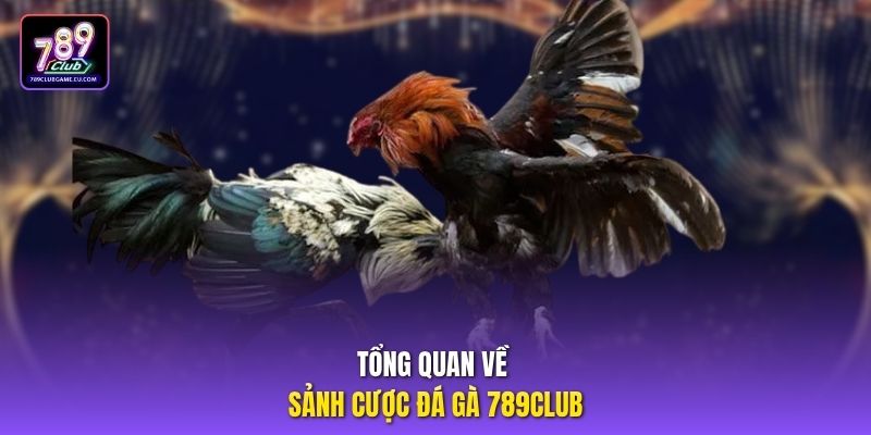 Tổng quan về sảnh cược đá gà 789Club