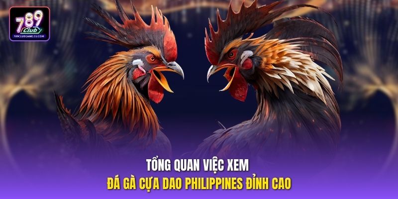 Tổng quan việc xem đá gà cựa dao philippines đỉnh caoTổng quan việc xem đá gà cựa dao philippines đỉnh cao