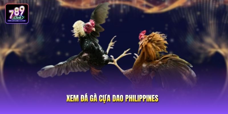 Xem Đá Gà Cựa Dao Philippines - Hướng Dẫn Luật Chơi Chi Tiết