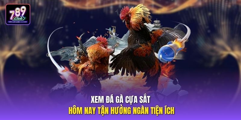Xem đá gà cựa sắt hôm nay tận hưởng ngàn tiện ích